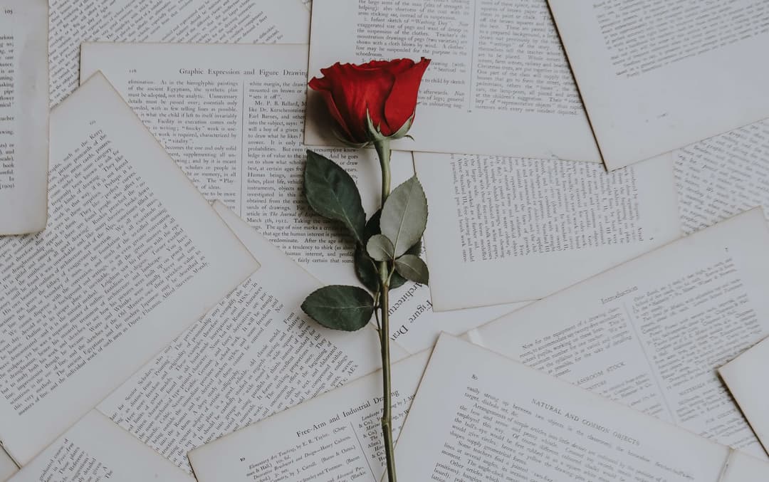 Understanding eulogy writing